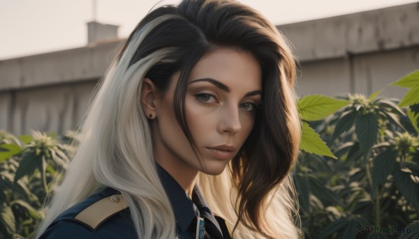 1girl,solo,long hair,looking at viewer,brown hair,shirt,black hair,brown eyes,jewelry,closed mouth,white hair,multicolored hair,earrings,outdoors,parted lips,collared shirt,dark skin,blurry,uniform,black eyes,two-tone hair,dark-skinned female,lips,streaked hair,grey eyes,blurry background,blue shirt,plant,portrait,freckles,realistic,nose,stud earrings,upper body,day,eyelashes,depth of field,leaf,sunlight,thick eyebrows,zipper,backlighting