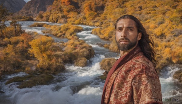 solo,long hair,looking at viewer,brown hair,black hair,1boy,brown eyes,closed mouth,upper body,male focus,outdoors,water,tree,facial hair,chinese clothes,nature,scenery,beard,mountain,realistic,mustache,day,forest,robe,waves,hanfu