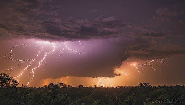 outdoors,sky,cloud,tree,no humans,cloudy sky,grass,nature,scenery,forest,sunset,electricity,lightning,landscape,monochrome,night,bush