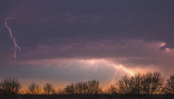 outdoors,sky,cloud,tree,no humans,cloudy sky,grass,nature,scenery,forest,sunset,electricity,lightning,monochrome,dark