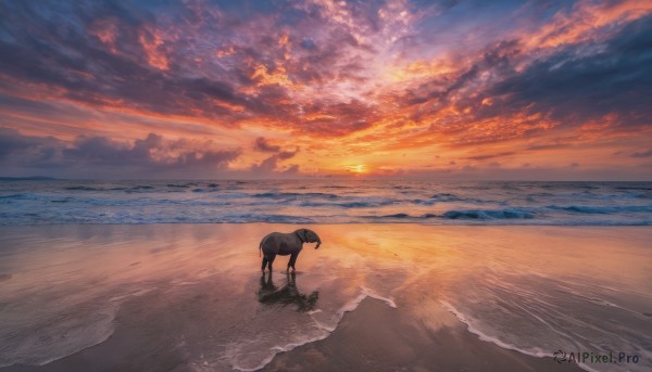 outdoors, sky, cloud, water, dutch angle, no humans, ocean, animal, beach, cloudy sky, scenery, sunset, sand, horizon, sheep