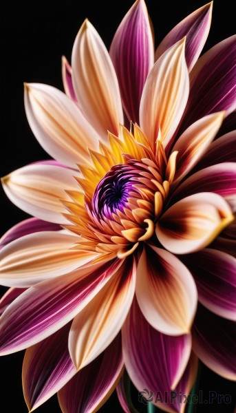 The charm of a abstract in a bold background