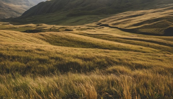 Image of a landscape in a fresh day