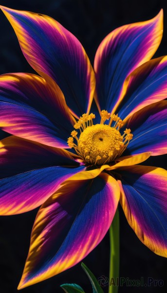 solo,simple background,flower,wings,no humans,leaf,plant,black background,purple flower,still life,signature,scenery,blue flower,light rays,yellow flower,sunflower,morning glory