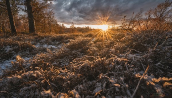 outdoors,sky,cloud,blurry,tree,no humans,depth of field,sunlight,cloudy sky,nature,scenery,forest,sunset,light rays,rock,sun,ruins,bare tree,landscape,mountain,field,sunrise