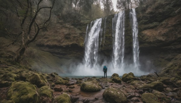 1girl, solo, blue hair, standing, outdoors, water, from behind, tree, backpack, nature, scenery, forest, rock, waterfall, stream