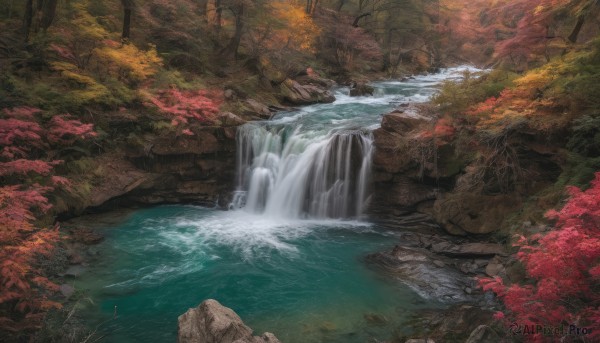 outdoors, day, water, tree, no humans, nature, scenery, forest, rock, autumn leaves, river, autumn, waterfall, landscape, stream