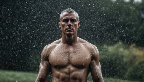 solo,looking at viewer,1boy,closed mouth,nipples,upper body,white hair,grey hair,male focus,outdoors,blurry,tree,wet,muscular,blurry background,parody,abs,pectorals,muscular male,rain,topless male,realistic,manly,old,old man,short hair,nude,dark skin,facial hair,meme,chest hair