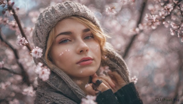 1girl, solo, looking at viewer, blue eyes, blonde hair, jewelry, flower, parted lips, hood, lips, eyelashes, ring, cherry blossoms, portrait, freckles, realistic, nose