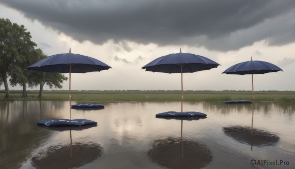 outdoors,sky,day,cloud,water,tree,no humans,umbrella,cloudy sky,grass,nature,scenery,reflection,rain,puddle,reflective water,lake