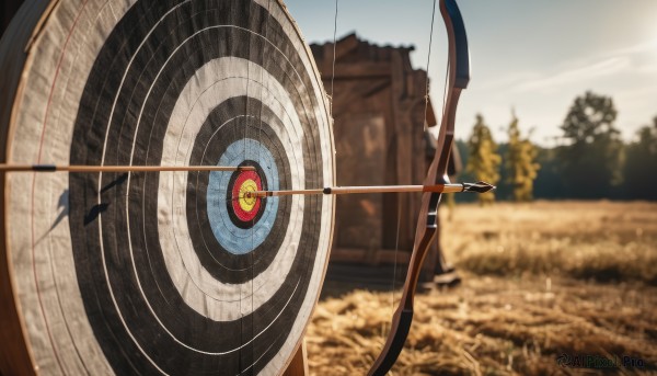 weapon,outdoors,sky,day,blurry,tree,no humans,depth of field,blurry background,scenery,bow (weapon),arrow (projectile),photo background,solo,cloud,blue sky,holding bow (weapon)