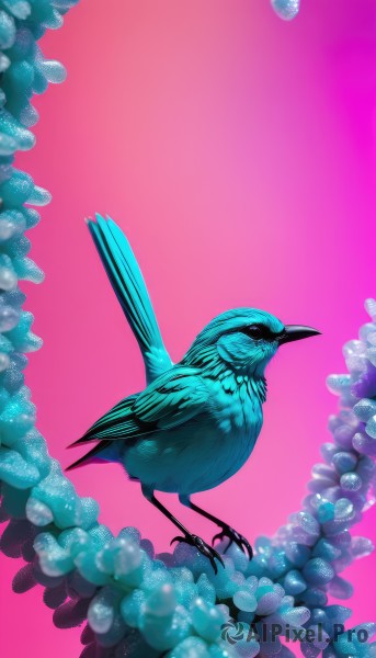 solo,simple background,standing,full body,flower,gradient,gradient background,pokemon (creature),no humans,bird,animal,pink background,feathers,flying,realistic,animal focus,talons,beak,closed mouth,blue theme