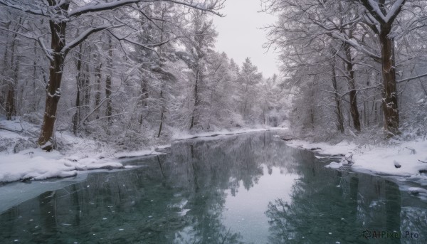 monochrome, outdoors, water, tree, dutch angle, no humans, nature, scenery, snow, forest, reflection, winter, bare tree