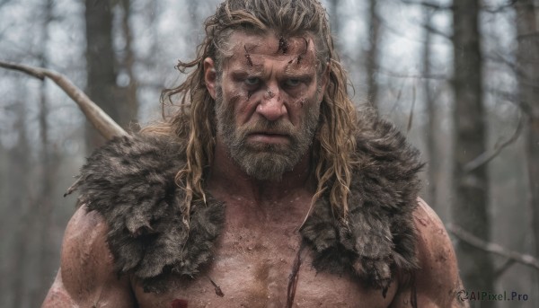 solo,long hair,looking at viewer,blonde hair,brown hair,1boy,closed mouth,upper body,male focus,blurry,tree,fur trim,muscular,blurry background,facial hair,scar,portrait,nature,beard,scar on face,forest,mature male,realistic,manly,outdoors,blood,depth of field,arrow (projectile)