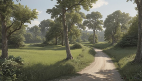 A landscape in a serene day
