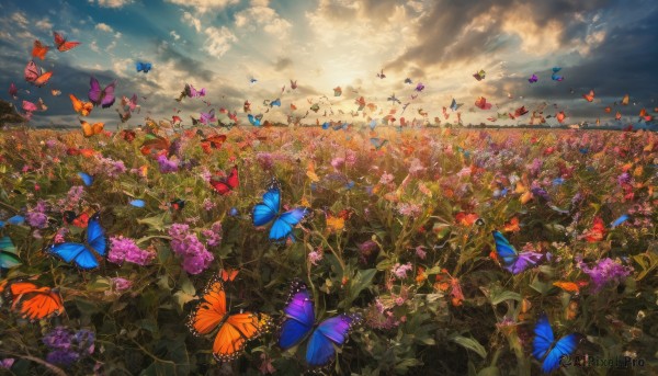 A butterfly surrounded by a serene day