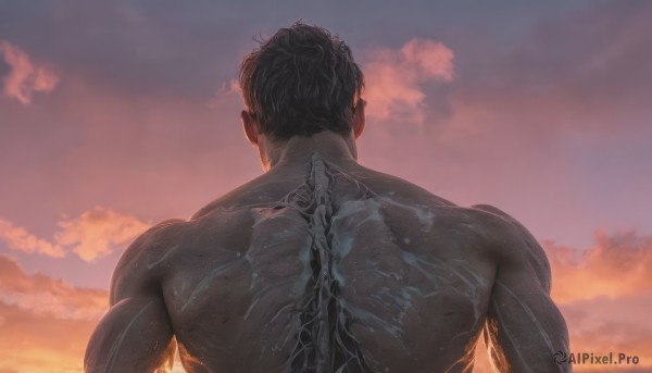 solo,short hair,black hair,1boy,upper body,male focus,nude,outdoors,sky,cloud,from behind,wet,completely nude,muscular,back,cloudy sky,muscular male,bara,veins,sunset,facing away,undercut,nape,median furrow,back focus,topless male,back tattoo