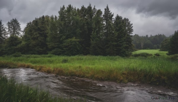 outdoors,sky,day,cloud,water,tree,no humans,cloudy sky,grass,nature,scenery,forest,road,bush,river,landscape,grey sky,path,overcast,field,lake