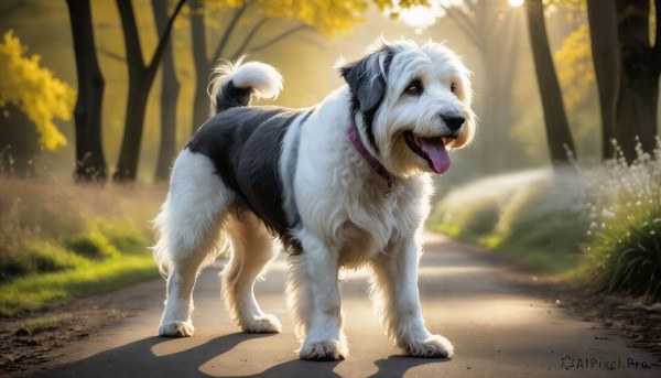 HQ,solo,full body,outdoors,day,tongue,tongue out,blurry,collar,tree,pokemon (creature),no humans,shadow,animal,sunlight,grass,nature,forest,dog,realistic,road,animal focus,looking at viewer,open mouth,standing,signature,blurry background,plant,bush,animal collar