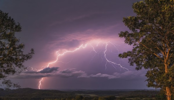 outdoors,sky,cloud,tree,no humans,cloudy sky,grass,nature,scenery,electricity,lightning,landscape,purple sky,water,night,ocean,sunset,horizon