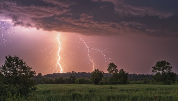 outdoors,sky,cloud,tree,no humans,cloudy sky,grass,nature,scenery,forest,sunset,mountain,electricity,lightning,landscape,red sky,purple sky,horizon,field