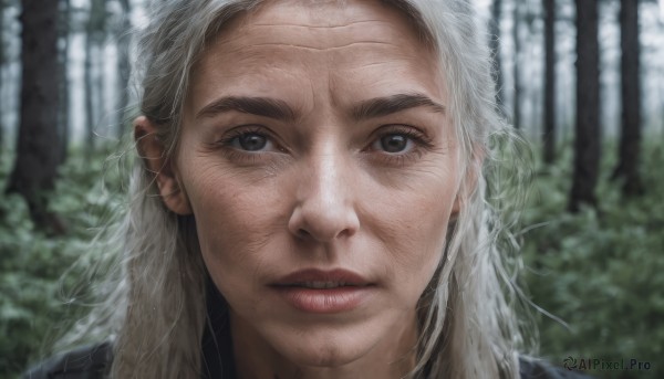 1girl,solo,long hair,looking at viewer,1boy,brown eyes,white hair,grey hair,male focus,outdoors,parted lips,teeth,day,blurry,black eyes,tree,lips,depth of field,blurry background,piercing,thick eyebrows,portrait,nature,forest,freckles,realistic,close-up,old,old man