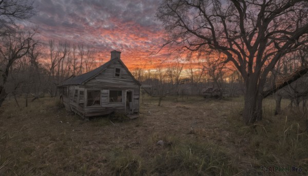 outdoors,sky,cloud,tree,no humans,window,cloudy sky,grass,ground vehicle,building,nature,scenery,motor vehicle,forest,sunset,field,house,bare tree,evening,road,twilight,landscape,path