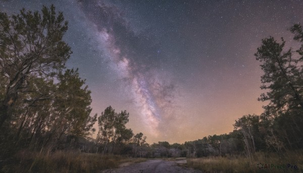 outdoors,sky,cloud,tree,dutch angle,no humans,night,cloudy sky,grass,star (sky),nature,night sky,scenery,forest,starry sky,sunset,road,twilight,gradient sky,path,water,shooting star,milky way