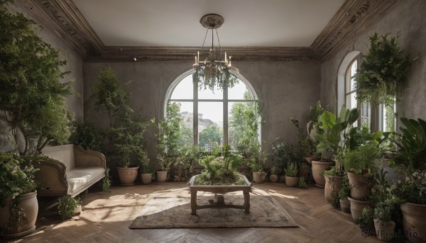 day,indoors,tree,no humans,window,chair,table,sunlight,plant,scenery,couch,wooden floor,potted plant,lamp,flower pot,carpet,arch,chandelier