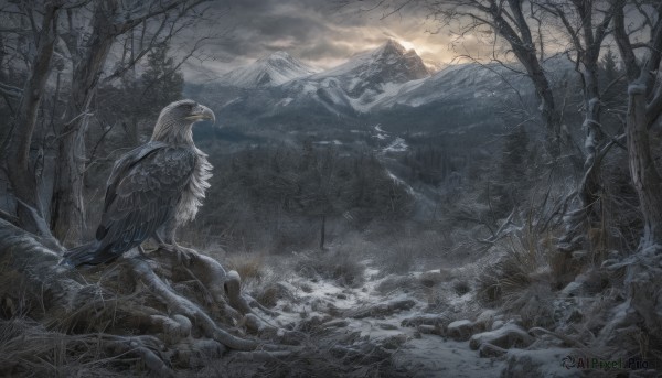 A landscape showcased in a vivid snowy outdoors