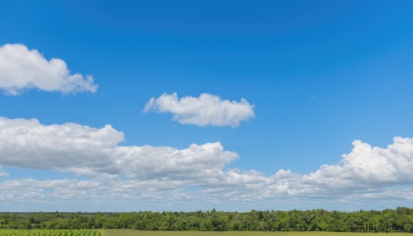 A landscape in a picturesque day