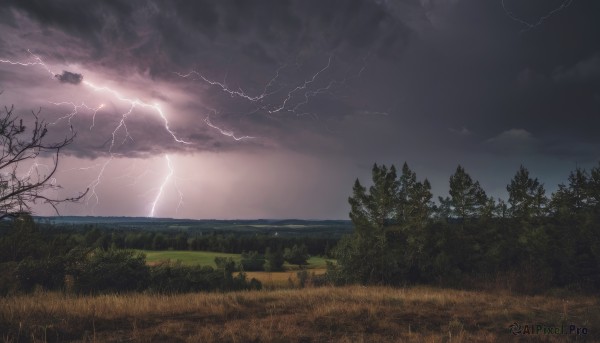 outdoors,sky,cloud,tree,no humans,cloudy sky,grass,nature,scenery,forest,mountain,electricity,lightning,landscape,water,ocean,horizon,field