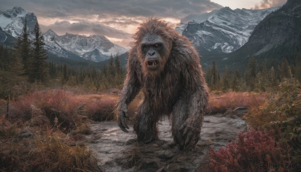 solo,open mouth,outdoors,sky,teeth,cloud,tree,no humans,fangs,cloudy sky,grass,nature,scenery,claws,forest,monster,mountain,monkey,red eyes,animal,realistic,landscape