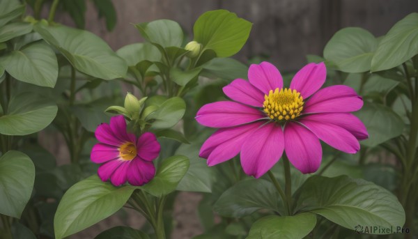 flower,outdoors,day,blurry,no humans,depth of field,blurry background,leaf,plant,nature,scenery,pink flower,yellow flower,purple flower,still life