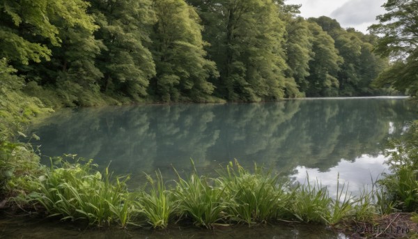A landscape framed by the beauty of a lush day