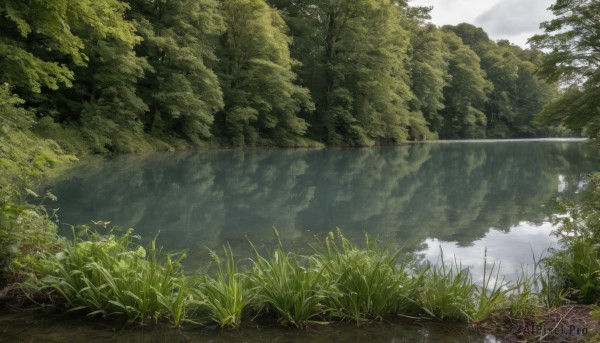 outdoors,sky,day,cloud,water,tree,no humans,grass,plant,nature,scenery,forest,reflection,mountain,river,landscape,lake,cloudy sky,green theme