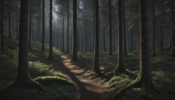 A landscape showcased in a bold outdoors