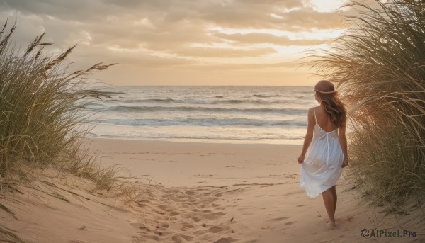 1girl,solo,long hair,brown hair,black hair,hat,dress,bare shoulders,standing,outdoors,sky,barefoot,sleeveless,cloud,dark skin,water,from behind,white dress,dark-skinned female,see-through,sleeveless dress,ocean,back,beach,cloudy sky,grass,scenery,wading,walking,sunset,skirt hold,sand,horizon,sundress,facing away,waves,see-through silhouette,shore,footprints,wheat,backless outfit,backless dress