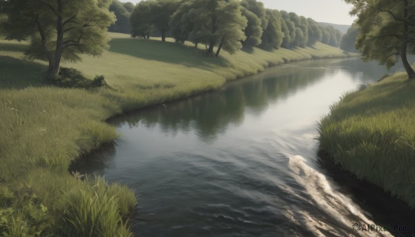 A landscape in a tranquil day