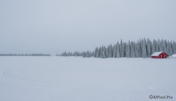 outdoors,sky,day,water,tree,no humans,nature,scenery,snow,forest,reflection,winter,bare tree,lake,monochrome,blue theme,house,landscape