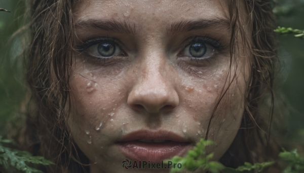 1girl, solo, looking at viewer, blue eyes, brown hair, closed mouth, green eyes, blurry, lips, eyelashes, leaf, portrait, close-up, realistic, nose