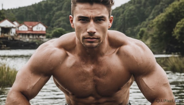 solo,looking at viewer,smile,short hair,brown hair,1boy,nipples,upper body,male focus,outdoors,water,blurry,muscular,blurry background,facial hair,abs,thick eyebrows,pectorals,muscular male,bara,beard,large pectorals,topless male,mature male,realistic,mustache,manly,chest hair,old man,river,photo background,arm hair,hairy,black hair,closed mouth,day,house