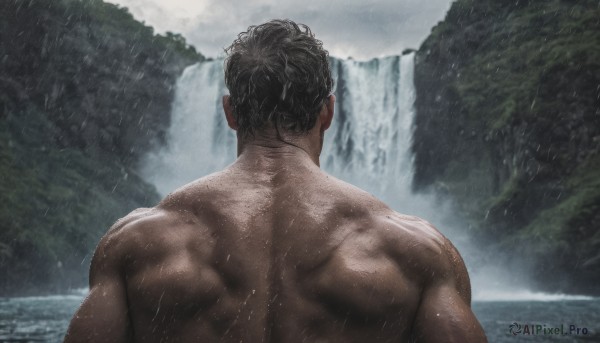 solo, short hair, black hair, 1boy, upper body, male focus, nude, outdoors, water, from behind, tree, wet, muscular, back, muscular male, nature, bara, rain, realistic, facing away, waterfall, back focus