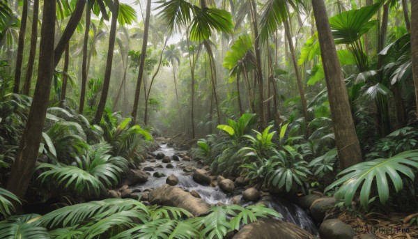 outdoors,day,water,tree,no humans,leaf,sunlight,grass,plant,nature,scenery,forest,rock,river,bamboo,bamboo forest