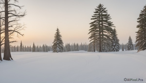 outdoors,sky,cloud,tree,no humans,nature,scenery,snow,forest,reflection,sunset,winter,bare tree,lake,pine tree,monochrome,mountain,sun,landscape,fog