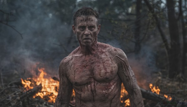 A delightful capture of a male within fiery outdoors