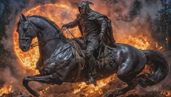 The majestic beauty of a male set within a calm fiery outdoors