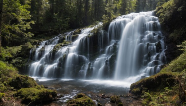 outdoors,day,water,tree,no humans,bird,sunlight,nature,scenery,forest,light rays,sunbeam,river,waterfall,landscape,moss,solo,rock,branch,stream