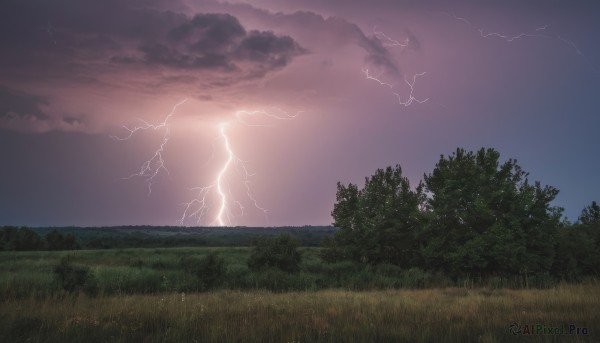 A striking outdoors featuring the elegance of a lightning