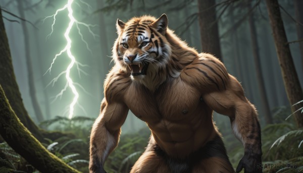 A male surrounded by a lush outdoors